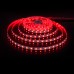 Светодиодная лента Лента светодиодная 24V 24W 60Led 5050 IP20 MIX RGB/дневной белый, 5м