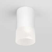 Уличный потолочный светильник Light LED 2106 IP54 35139/H белый