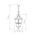 Diadema H черное золото уличный подвесной светильник IP44 GLYF-8046H