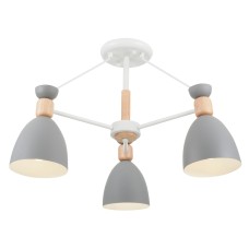 FR5033CL-03W Потолочный светильник Delia Modern Freya