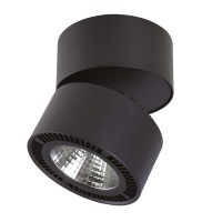 213857 Светильник FORTE MURO LED 40W 3400LM 30G ЧЕРНЫЙ 3000K (в комплекте) 213857 Светильник FORTE MURO LED 40W 3400LM 30G ЧЕРНЫЙ 3000K (в комплекте)