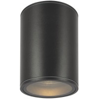 Потолочный светильник уличный Bar O306CL-L7GF