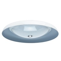 Потолочный светильник Ривз 674016401