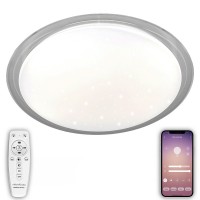 Потолочный светильник LED LED LAMPS 81102