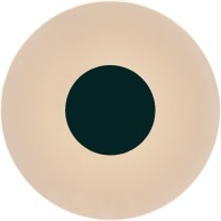 Настенный светильник Venus 8013 Настенный светильник Venus 8013
