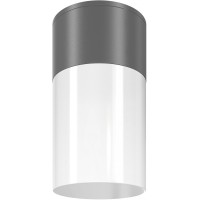 Потолочный светильник уличный Willis O418CL-01GR