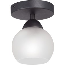 Потолочный светильник V3963-1/1PL