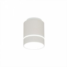 Точечный светильник Борн CL745010N