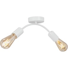 Потолочный светильник V4989-0/2PL