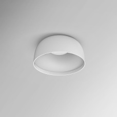 Настенно-потолочный светильник BRIM01