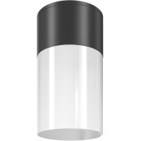 Потолочный светильник уличный Willis O418CL-01B Потолочный светильник уличный Willis O418CL-01B