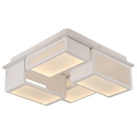 Потолочный светильник Ахенк 5617-4,01