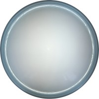 Настенно-потолочный светильник Portia TL1128-1Y Настенно-потолочный светильник Portia TL1128-1Y