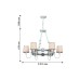 Подвесная люстра Fiona 2495-6PC Подвесная люстра Fiona 2495-6PC