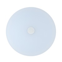 Потолочный светильник Норден 660012901