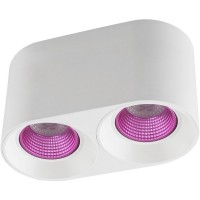 Точечный светильник DK3096-WH+PI