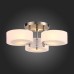Потолочная люстра Foresta SL483.352.03 ST Luce