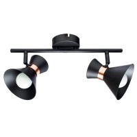 Спот Baltimore A1406AP-2BK Artelamp Спот Baltimore A1406AP-2BK Artelamp