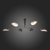 Потолочная люстра Spruzzo SL305.402.06 ST Luce Потолочная люстра Spruzzo SL305.402.06 ST Luce