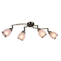 Потолочная люстра Autunois OML-35121-04