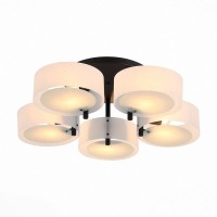 Потолочная люстра Foresta SL483.402.05 ST Luce Потолочная люстра Foresta SL483.402.05 ST Luce
