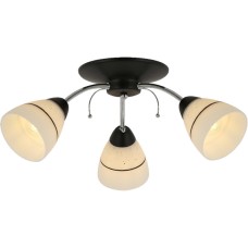 Потолочная люстра Winnifred TL1255D-03BC