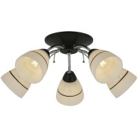 Потолочная люстра Winnifred TL1255D-05BC