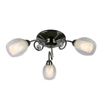 Потолочная люстра Anjou OML-31607-03