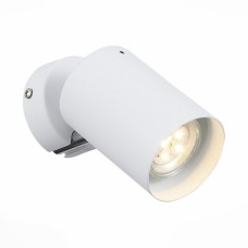 Спот Fanale SL597.501.01 ST Luce