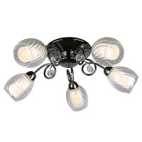 Потолочная люстра Anjou OML-31607-05