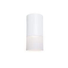 C007CW-01W Потолочный светильник Ceiling & Wall Pauline Maytoni