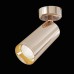 C017CW-01RG Потолочный светильник Focus Ceiling & Wall Maytoni C017CW-01RG Потолочный светильник Focus Ceiling & Wall Maytoni