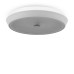 FR10012CL-L24W Потолочный светильник - LED Freya