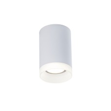 C008CW-01W Потолочный светильник Ceiling & Wall Pauline Maytoni