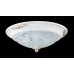 C907-CL-02-W Потолочный светильник Ceiling & Wall Diametrik Maytoni