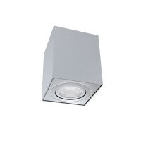 C017CL-01S Потолочный светильник Ceiling & Wall Alfa Maytoni C017CL-01S Потолочный светильник Ceiling & Wall Alfa Maytoni