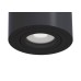C016CL-01B Потолочный светильник Ceiling & Wall Alfa Maytoni