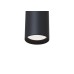 C027CL-L10B Потолочный светильник Ceiling & Wall Dafne Maytoni C027CL-L10B Потолочный светильник Ceiling & Wall Dafne Maytoni