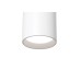 C027CL-L10W Потолочный светильник Ceiling & Wall Dafne Maytoni