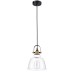 T163-11-W Подвесной светильник Pendant Irving Maytoni
