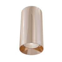 C010CL-01RG Потолочный светильник Ceiling & Wall Alfa Maytoni
