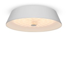 FR10013CL-L24W Потолочный светильник - LED Freya