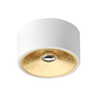 3892/1C ODL20 белый с золотом Потолочной накладной светильник GU10 1*50W 220V GLASGOW 3892/1C ODL20 белый с золотом Потолочной накладной светильник GU10 1*50W 220V GLASGOW