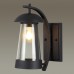 4837/1W NATURE ODL21 569 черный/стекло Ландшафтный настенный светильник E27 1*60W IP44 KALPI 4837/1W NATURE ODL21 569 черный/стекло Ландшафтный настенный светильник E27 1*60W IP44 KALPI