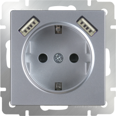 Розетка с заземлением, шторками и USBх2 (серебряный) WL06-SKGS-USBx2-IP20