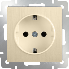 Розетка с заземлением (шампань рифленый) WL10-SKG-01-IP20