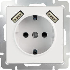 Розетка с заземлением, шторками и USBх2 (белая) WL01-SKGS-USBx2-IP20