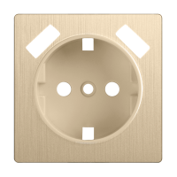 Накладка для розетки USB (шампань рифленый) WL10-USB-CP