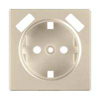 Накладка для USB розетки (шампань) WL11-USB-CP