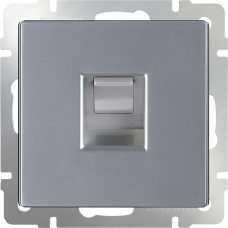 Розетка Ethernet RJ-45 (серебряный) WL06-RJ-45